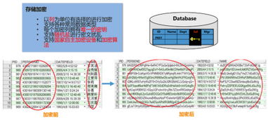 安華金和數據安全治理框架下的數據內部存儲安全技術 數據處理與存儲服務的關鍵實踐